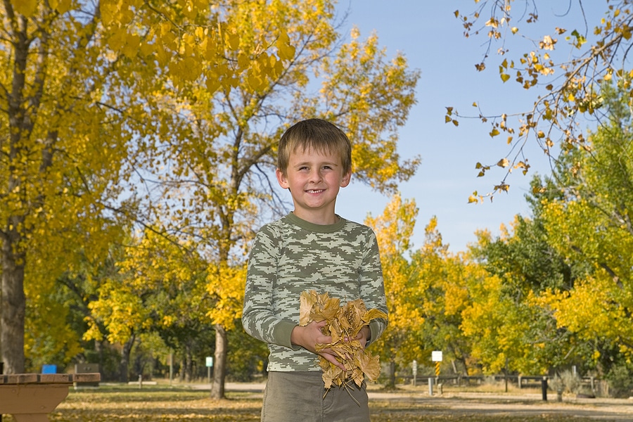 Young boy stands outdoors at a campground in fall, smiling while holding a handful of fallen leaves.
